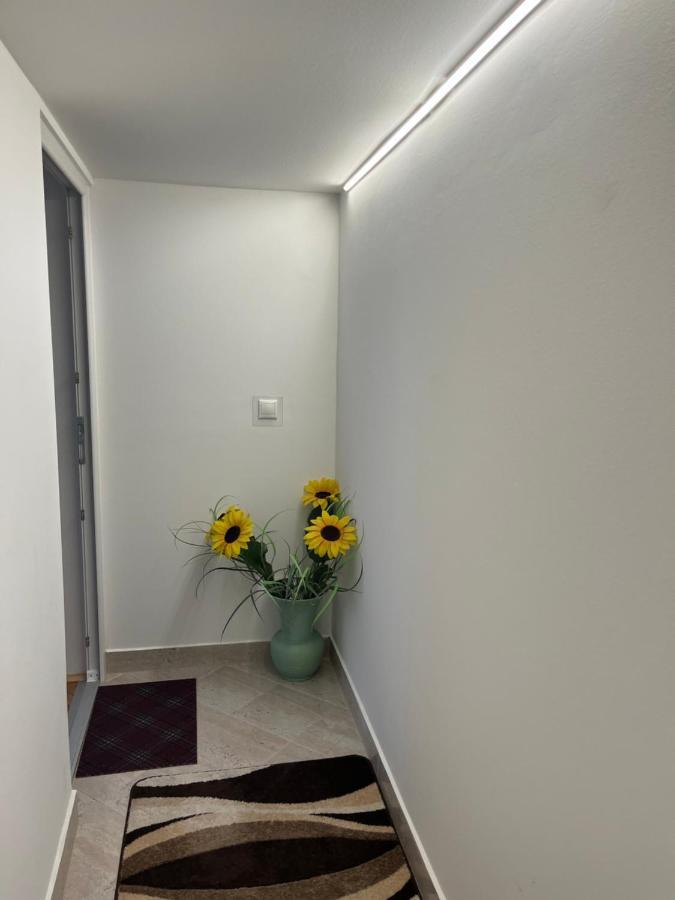 אגר Vito Apartman מראה חיצוני תמונה